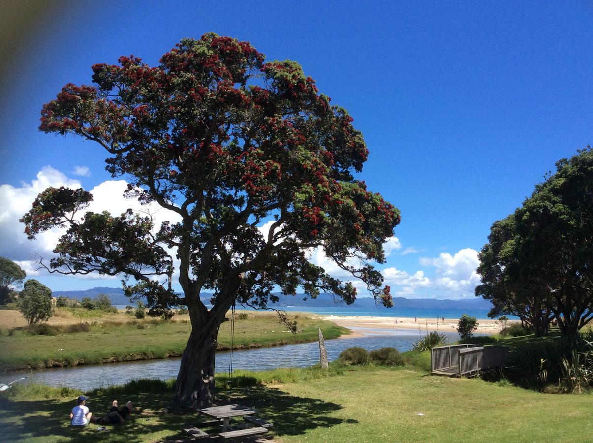 Albert Mews B&B Whitianga Exterior foto