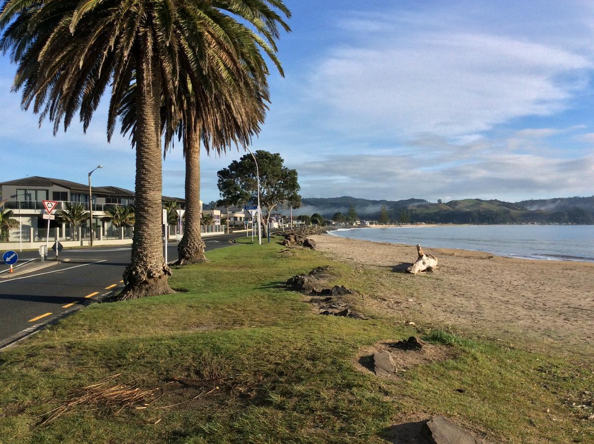 Albert Mews B&B Whitianga Exterior foto