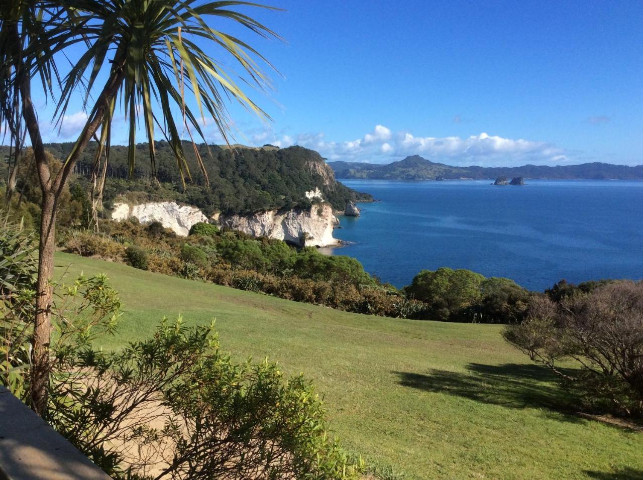 Albert Mews B&B Whitianga Exterior foto